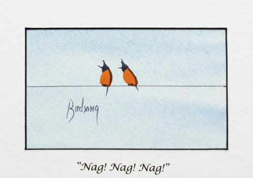 Birdsong Birds Animation